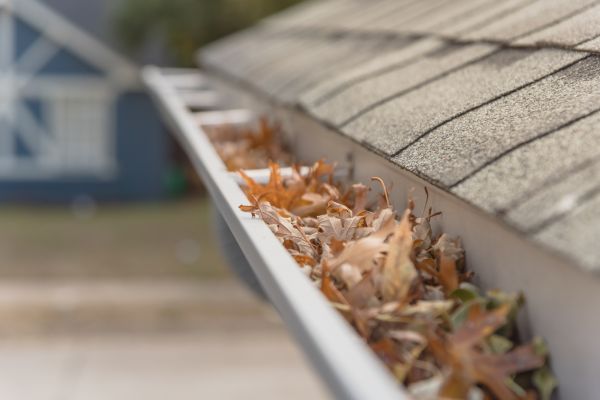 Leaf Barrier Installation in Dallas